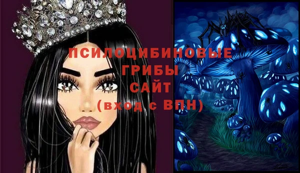 гашик Зеленодольск