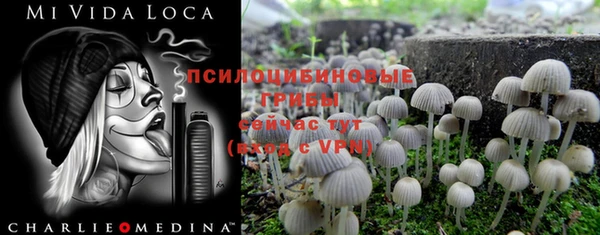 альфа пвп Зеленокумск